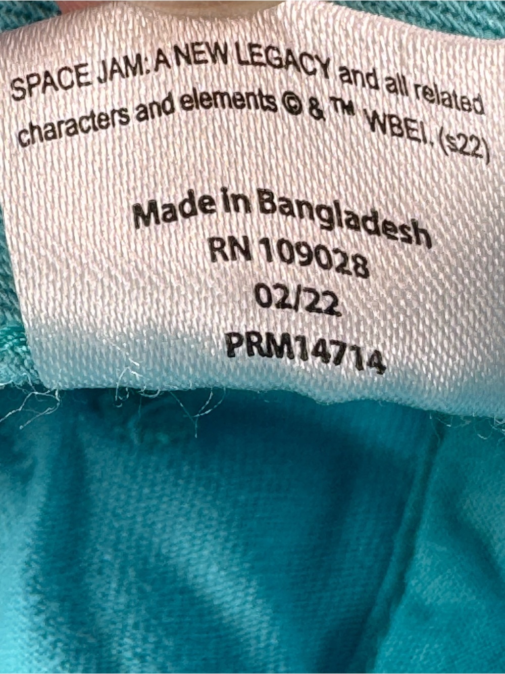 Space Jam Team Bugs Adjustable Turquoise Baseball Cap - Picture 7 of 7